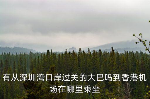 有從深圳灣口岸過(guò)關(guān)的大巴嗎到香港機(jī)場(chǎng)在哪里乘坐