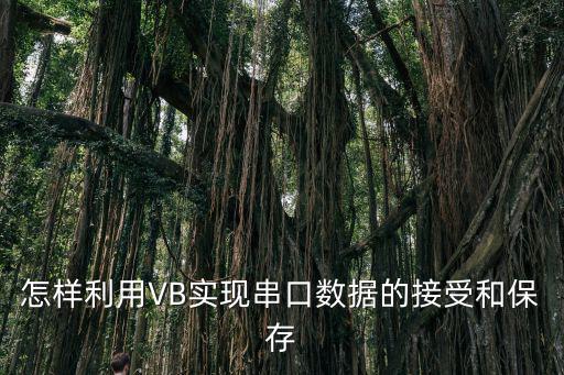 vb6怎么訪問(wèn)rs232串口，怎樣利用VB實(shí)現(xiàn)串口數(shù)據(jù)的接受和保存