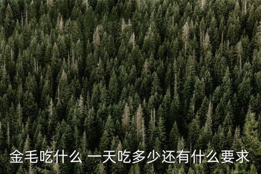 金毛吃什么 一天吃多少還有什么要求