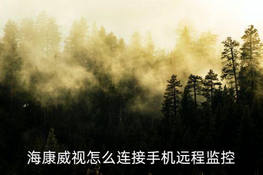 怎么登錄海康監控，海康嵌入式的錄像機外網如何登陸