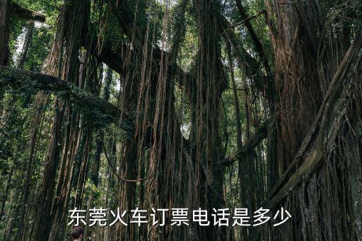 東莞火車訂票電話是多少
