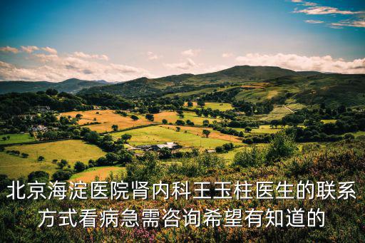 北京海淀醫院腎內科王玉柱醫生的聯系方式看病急需咨詢希望有知道的