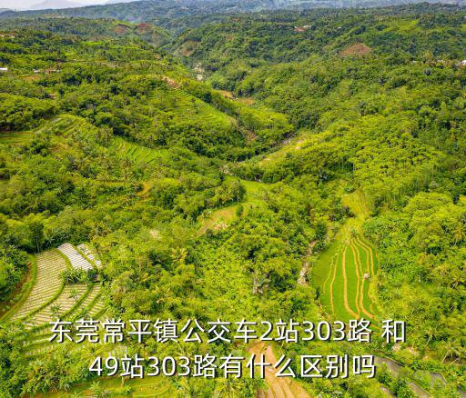 東莞常平鎮(zhèn)公交車2站303路 和 49站303路有什么區(qū)別嗎