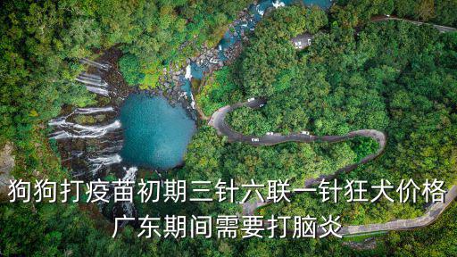 狗狗打疫苗初期三針六聯(lián)一針狂犬價(jià)格廣東期間需要打腦炎