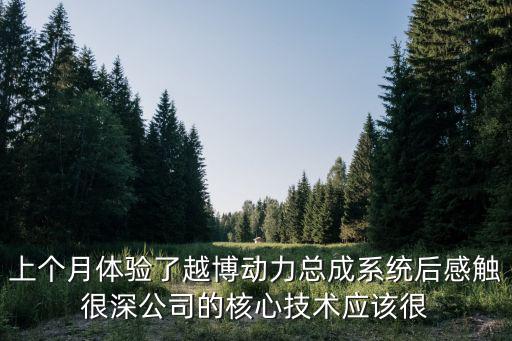 上個(gè)月體驗(yàn)了越博動(dòng)力總成系統(tǒng)后感觸很深公司的核心技術(shù)應(yīng)該很