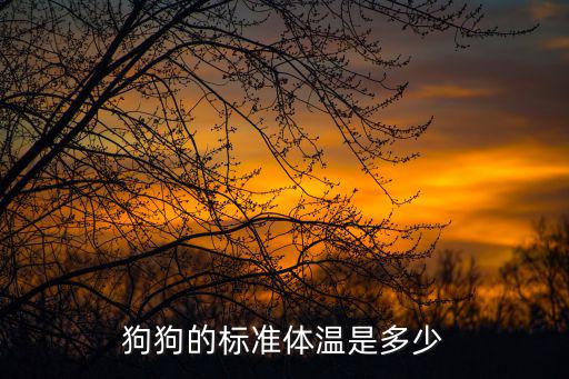 狗狗的標準體溫是多少