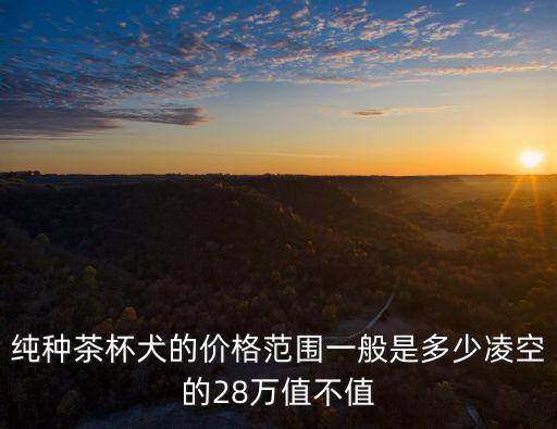 純種茶杯犬的價格范圍一般是多少凌空的28萬值不值