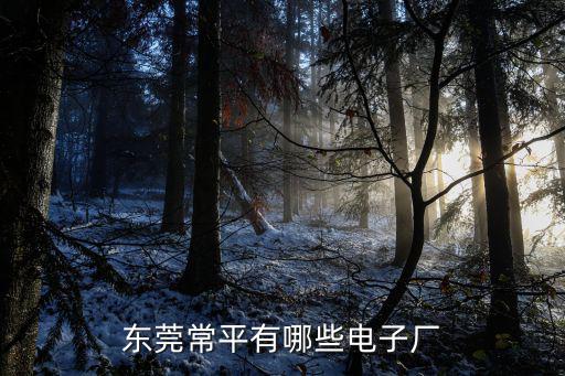 東莞常平有哪些電子廠