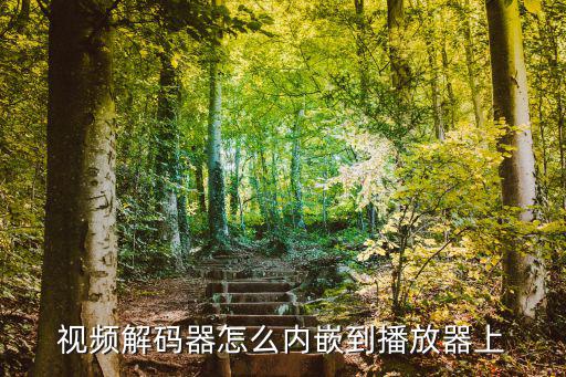 視頻解碼器怎么內嵌到播放器上