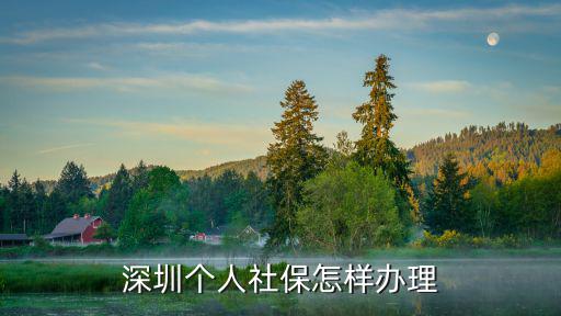 深圳個(gè)人社保怎樣辦理