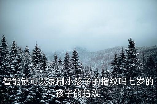 智能鎖可以錄制小孩子的指紋嗎七歲的孩子的指紋