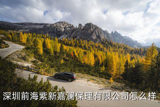 深圳前海瀾海保理有限公司，王軍華的人物簡介