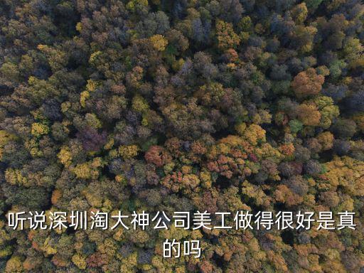 深圳途曉璐，聽(tīng)說(shuō)深圳淘大神公司美工做得很好是真的嗎