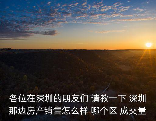 各位在深圳的朋友們 請教一下 深圳那邊房產銷售怎么樣 哪個區 成交量