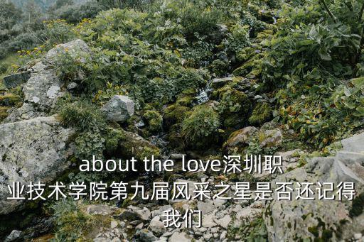 about the love深圳職業技術學院第九屆風采之星是否還記得我們