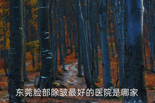 東莞臉部除皺最好的醫(yī)院是哪家