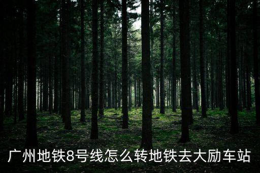 廣州地鐵8號線怎么轉地鐵去大勵車站