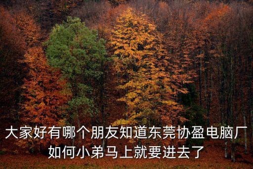 大家好有哪個(gè)朋友知道東莞協(xié)盈電腦廠如何小弟馬上就要進(jìn)去了