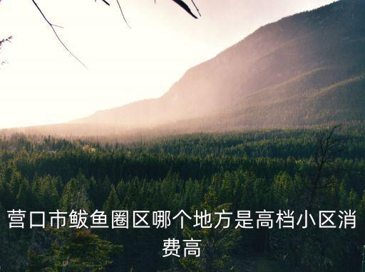 營口市鲅魚圈區哪個地方是高檔小區消費高