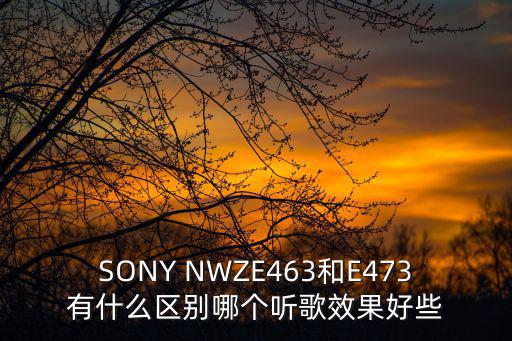 SONY NWZE463和E473有什么區別哪個聽歌效果好些