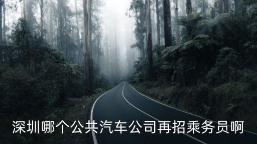 深圳巴士集團招聘信息信息，深圳哪個公共汽車公司再招乘務員啊