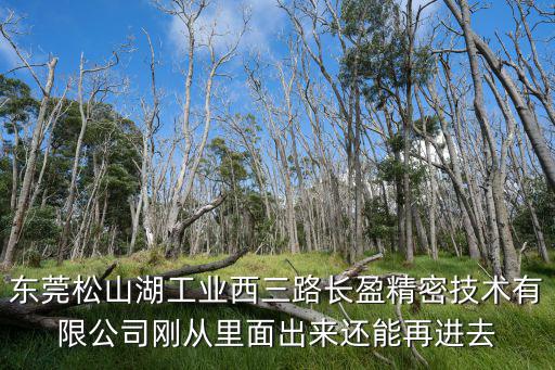 東莞松山湖工業(yè)西三路長盈精密技術(shù)有限公司剛從里面出來還能再進(jìn)去