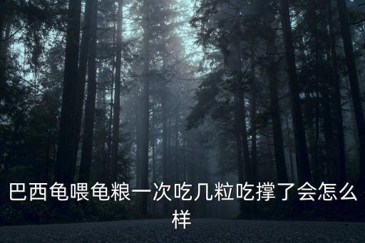 巴西龜喂龜糧一次吃幾粒吃撐了會怎么樣