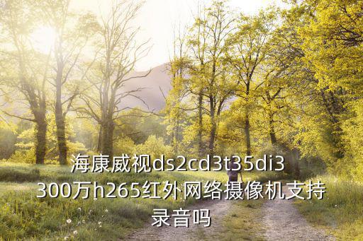 海康威視ds2cd3t35di3 300萬h265紅外網(wǎng)絡(luò)攝像機支持錄音嗎