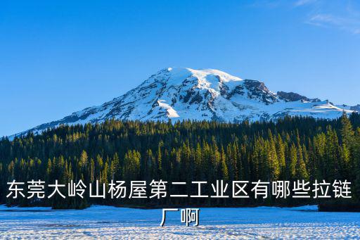 東莞大嶺山楊屋第二工業區有哪些拉鏈廠啊