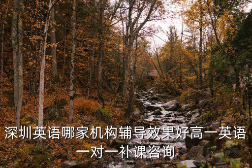 深圳英語(yǔ)哪家機(jī)構(gòu)輔導(dǎo)效果好高一英語(yǔ)一對(duì)一補(bǔ)課咨詢