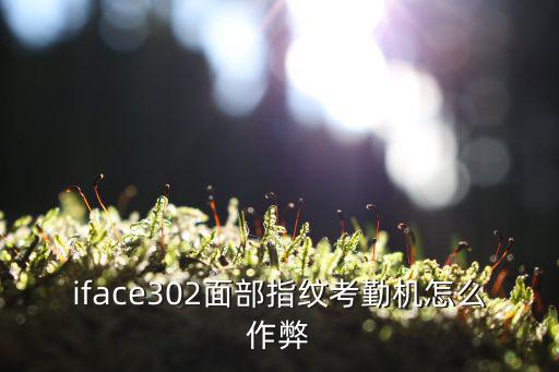 iface302面部指紋考勤機怎么作弊