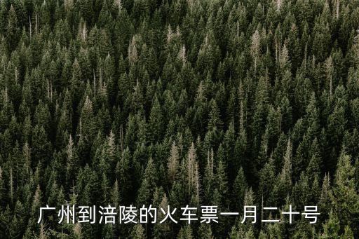 廣州到禮陵的火車(chē)票，現(xiàn)在廣州到醴陵的k222k223的火車(chē)票緊張嗎