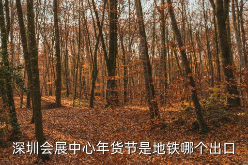 深圳會展中心年貨節是地鐵哪個出口