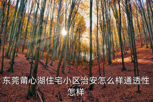 東莞莆心湖住宅小區(qū)治安怎么樣通透性怎樣