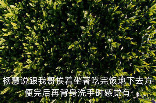 楊慧說跟我哥挨著坐著吃完飯地下去方便完后再背身洗手時感覺有