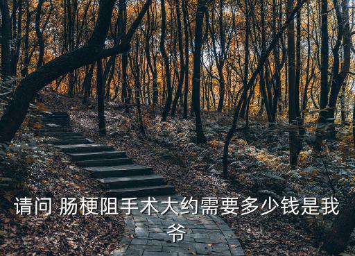 請問 腸梗阻手術大約需要多少錢是我爺