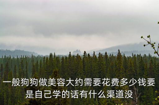 一般狗狗做美容大約需要花費多少錢要是自己學的話有什么渠道沒