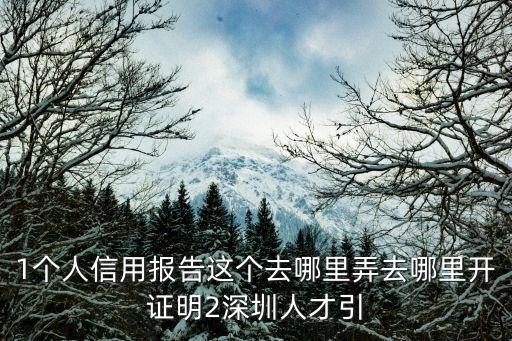 1個(gè)人信用報(bào)告這個(gè)去哪里弄去哪里開證明2深圳人才引
