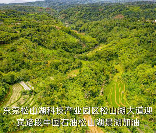 東莞松山湖科技產業園區松山湖大道迎賓路段中國石油松山湖景湖加油