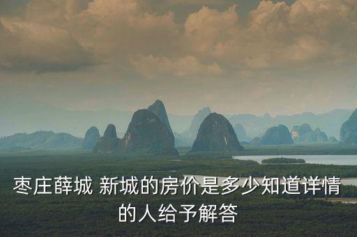 棗莊薛城 新城的房價是多少知道詳情的人給予解答