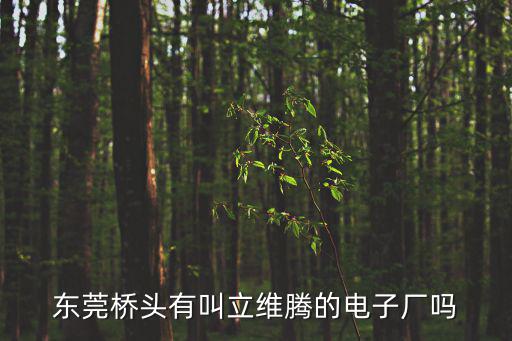 東莞橋頭有叫立維騰的電子廠嗎