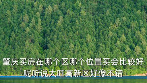 肇慶買房在哪個(gè)區(qū)哪個(gè)位置買會(huì)比較好呢聽(tīng)說(shuō)大旺高新區(qū)好像不錯(cuò)