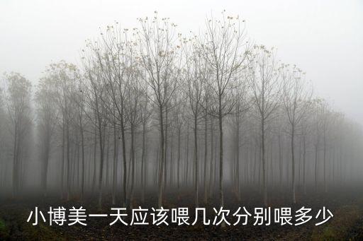小博美一天應該喂幾次分別喂多少