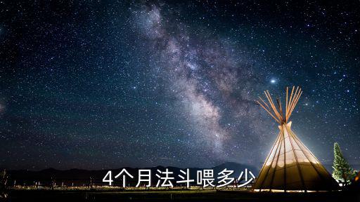 4個(gè)月法斗喂多少