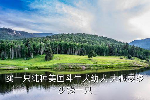 買一只純種美國斗牛犬幼犬 大概要多少錢一只