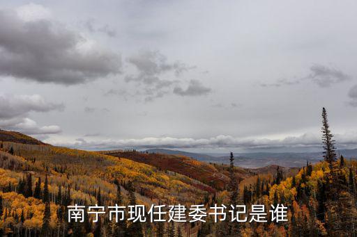南寧市現任建委書記是誰