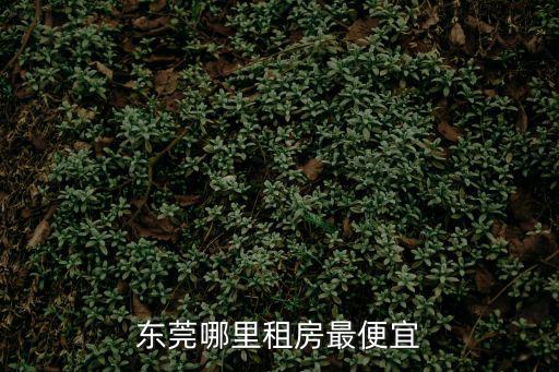 東莞哪里租房最便宜