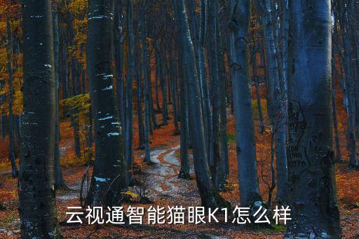 云視通智能貓眼K1怎么樣