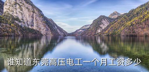 誰知道東莞高壓電工一個月工資多少