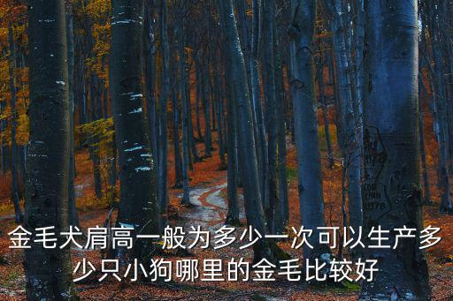 金毛犬肩高一般為多少一次可以生產(chǎn)多少只小狗哪里的金毛比較好